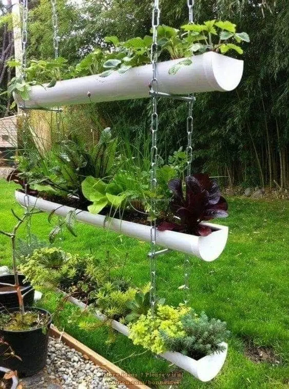 cultivo en casa hidroponia